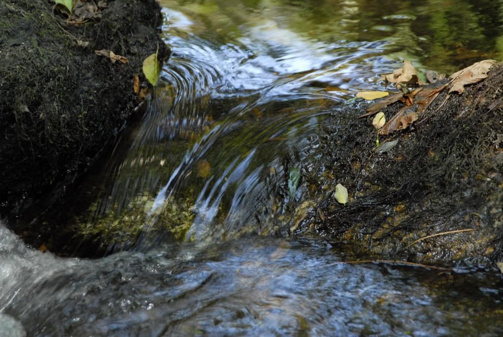 Отель Inatel Entre-Os-Rios Portela  Экстерьер фото